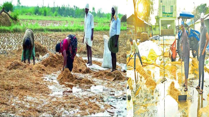Farmers Suffering From Untimely Rains