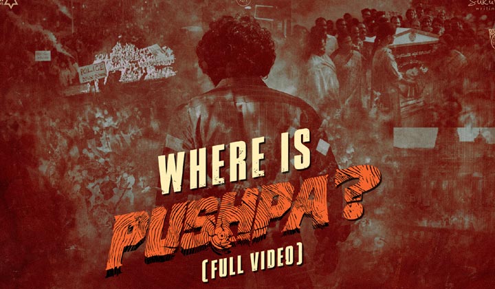 Pushpa 3 Update No Announcement Even After One Year Of Pushpa 2 Release