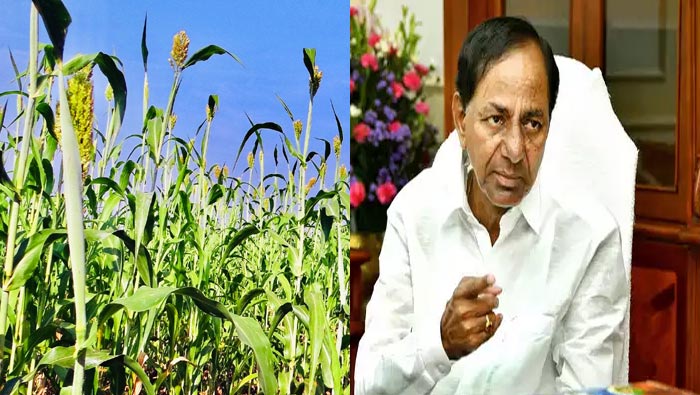 Good News For Telangana Farmers 2