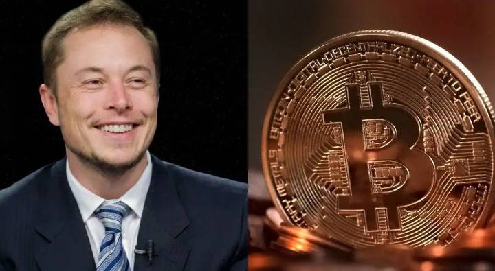 Elon Musks Ruckus In Crypto Market Bitcoin Investors Lost Money