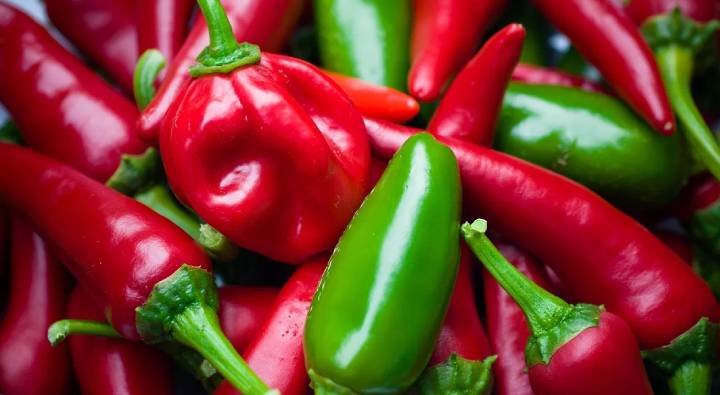 Bhoot Jolakiya Hot Chilli Hottest Chilli Of The World