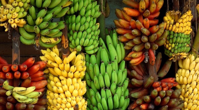 Banana Cultivation Do You Know How Many Types Of Bananas Are Cultivated In Our Country