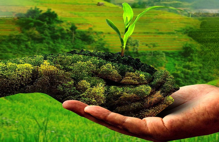 Organic Farming Methods Can Organic Farming Make Higher Profits