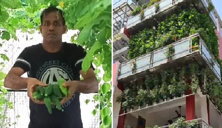 Success Story A Young Man Left A Good Job And Earns Rs 70 Lakhs A Year By Doing Agriculture