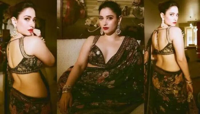 Tamanna Bhatia Latest Saree Photos Viral In Social Media