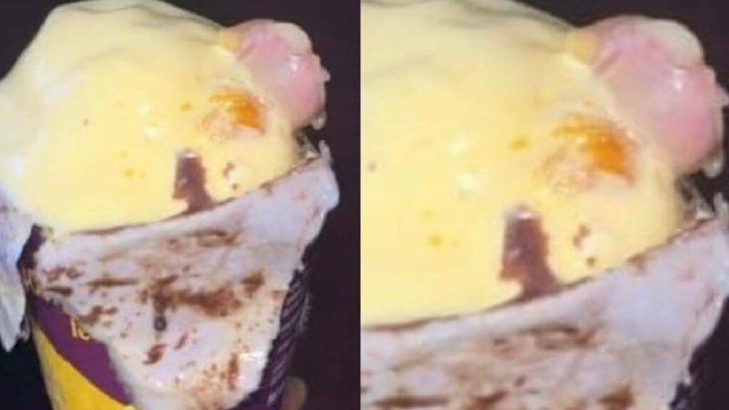 Finger In Mumbai Doctors Ice Cream Was Of Pune Factory Employee Says Dna Test