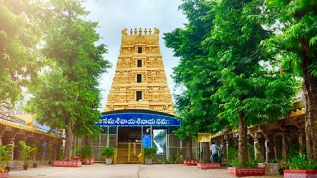 Local Internal Transfers Of 95 Employees At Srisailam Devasthanam