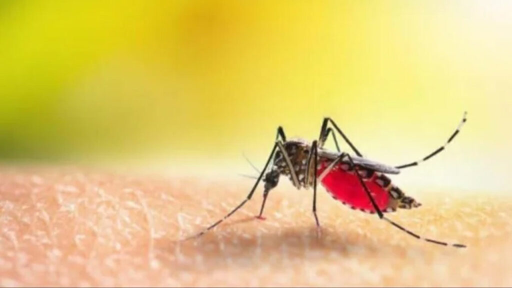 Pune Doctor And His 15 Year Old Daughter Test Positive For Zika Virus