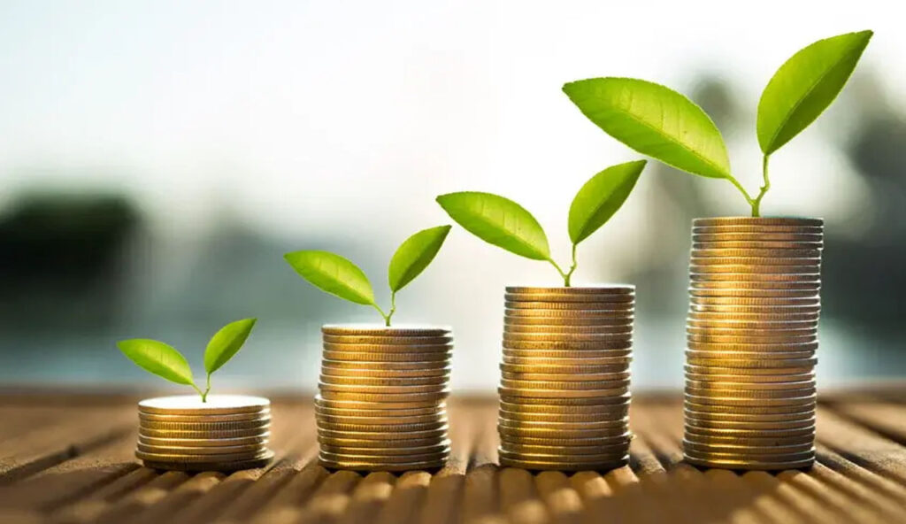 Financial Management In India Steps Involved