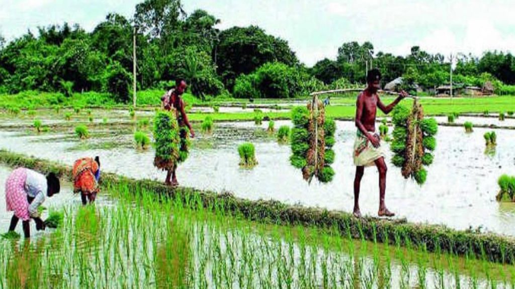 Farmers Festival In Mahabubnagar District For Three Days