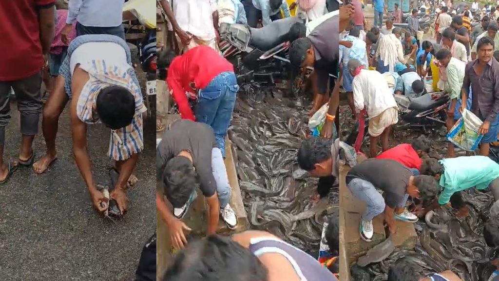 Boloro Vehicle Overturned On The Road