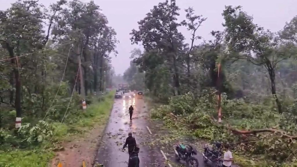 Heavy Winds Are Blowing In The Forests Of Medaram