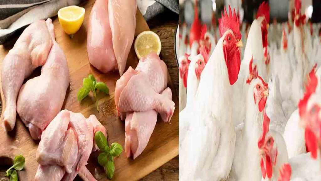 Chicken Prices Hike Telangana Andhra Pradesh Ramzan Season