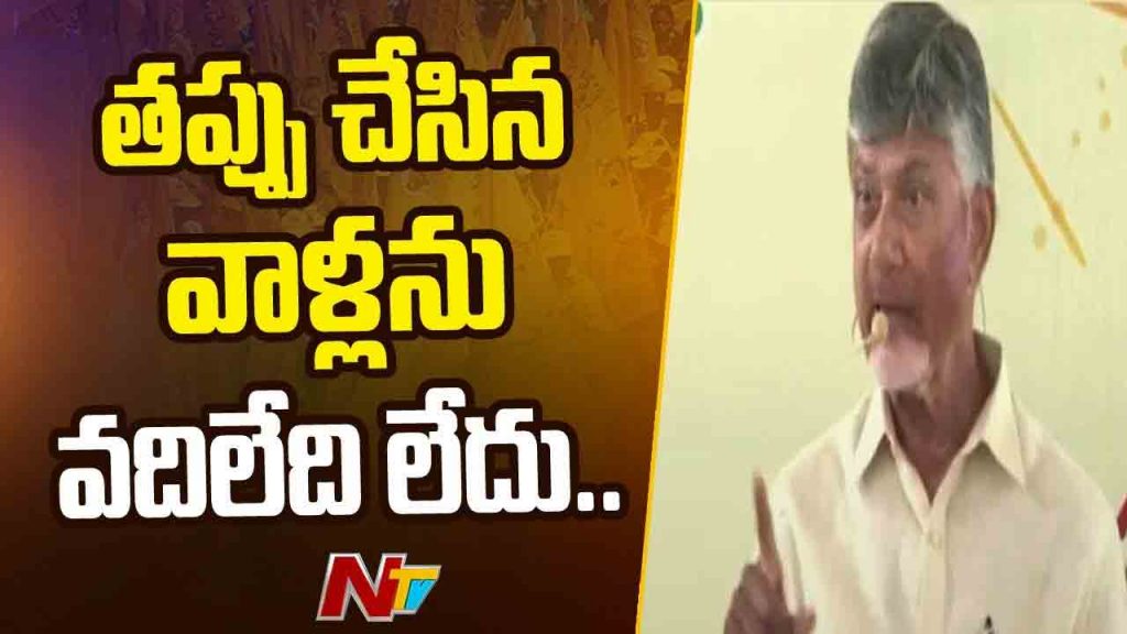 Chief Minister Chandrababu Severely Criticized Ycp