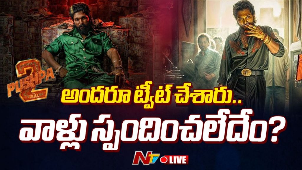 Allu Arjun Why Cant They Respond On Pushpa 2 Trailer