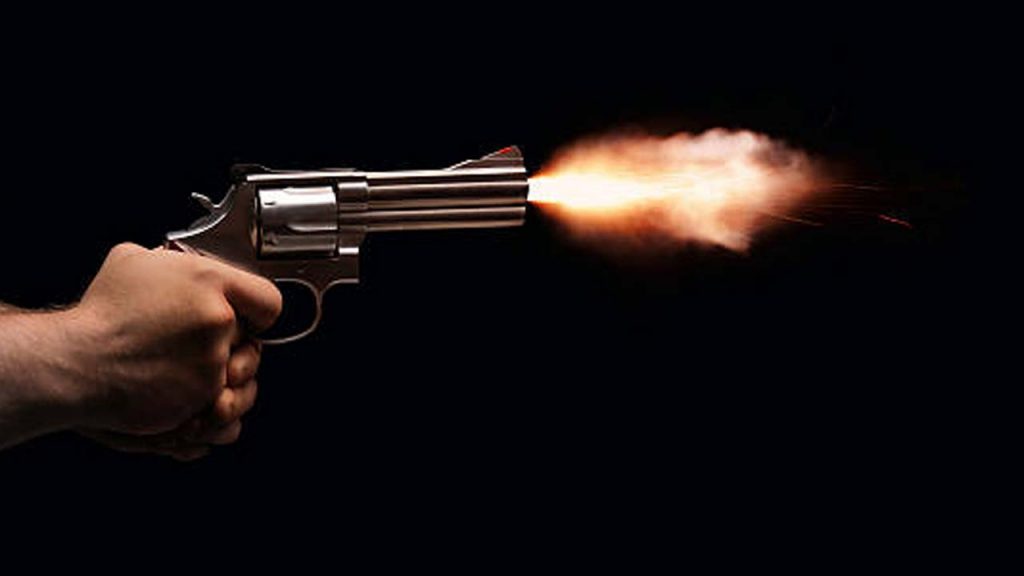 Air Gun Firing Incident In Bhadradri Kothagudem District Relative Injured