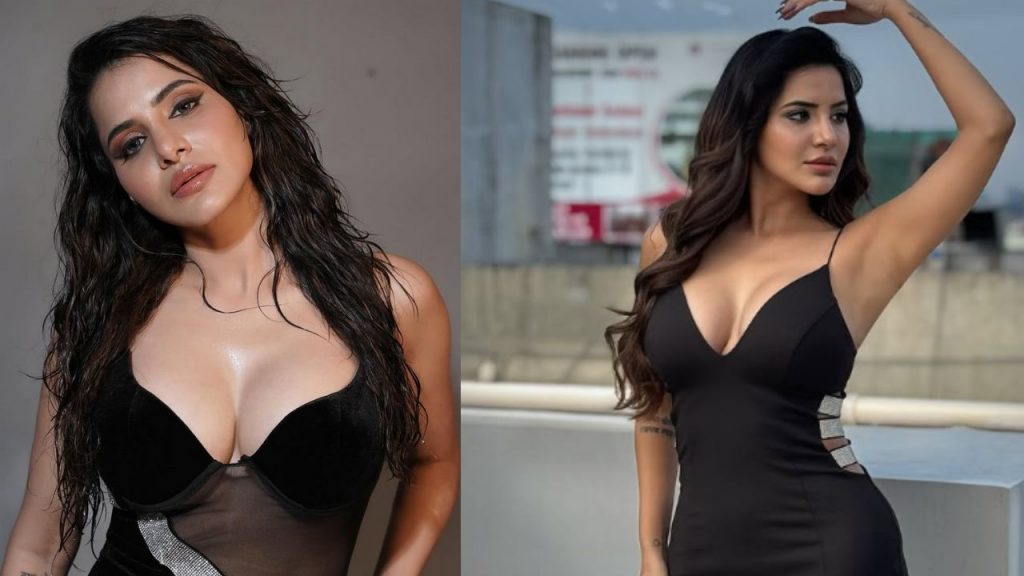 Ashu Reddy 9 Crore Cheating Case Media Press Meet Details