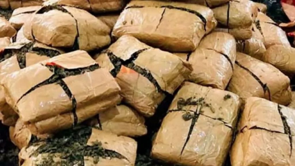 Bengaluru Airport 200 Crore Foreign Ganja Seized Customs Arrests