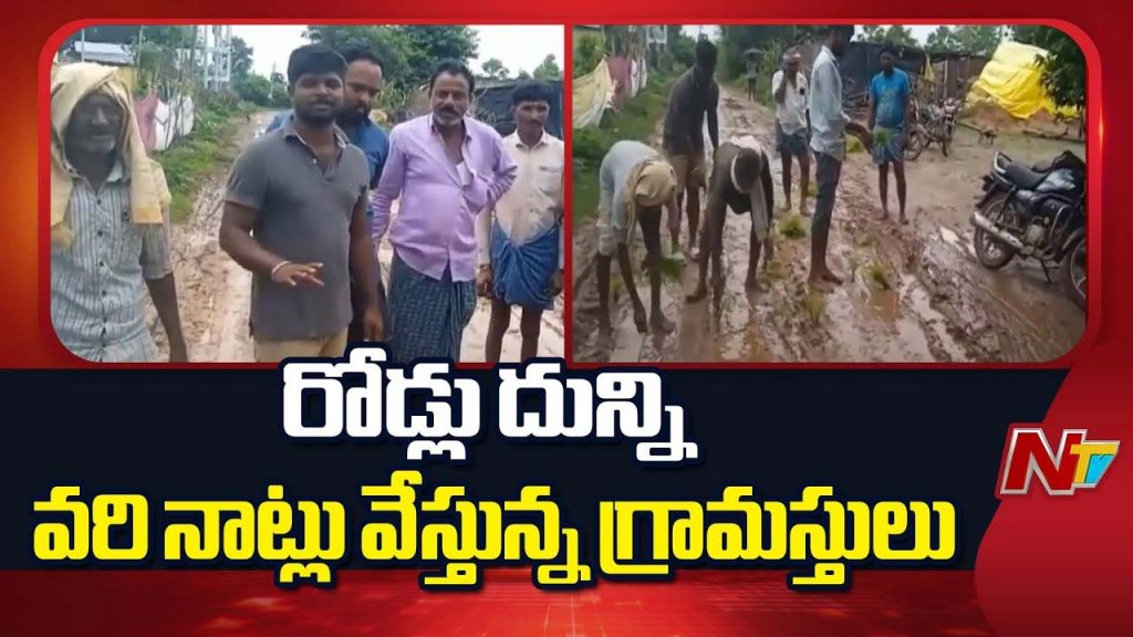 Villagers Plant Paddy On Muddy Road In Jagtial Protest Goes Viral