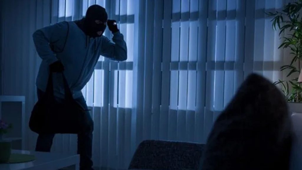 Jagtial Book Thief Government College Incident