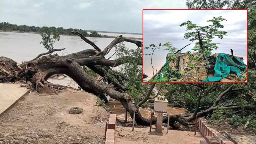 Cinema Chettu Has Been Revived On The Banks Of The Godavari River In Kumaradevam Village