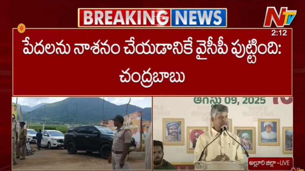 Cm Chandrababu Comments On Ysrcp Leaders