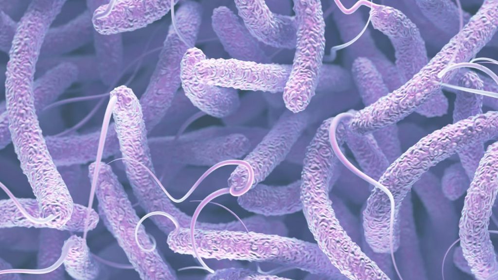 Cholera Scare In Tenali Software Engineer Diagnosed Health Officials On Alert