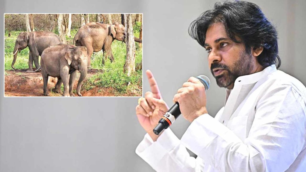 Deputy Cm Pawan Kalyan Has Prepared An Action Plan To Implement A New Strategy To Check The Elephants