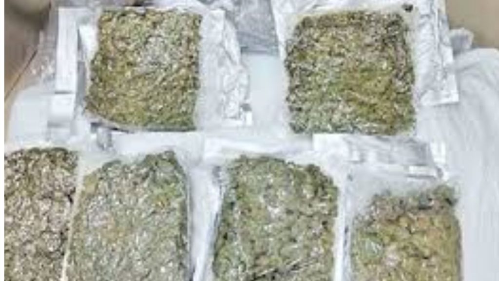 Sangareddy Prison Remand Prisoners Create Chaos