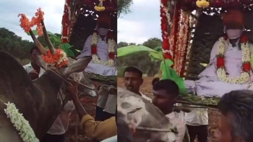 Bull Cries At Farmers Funeral Emotional Viral Video