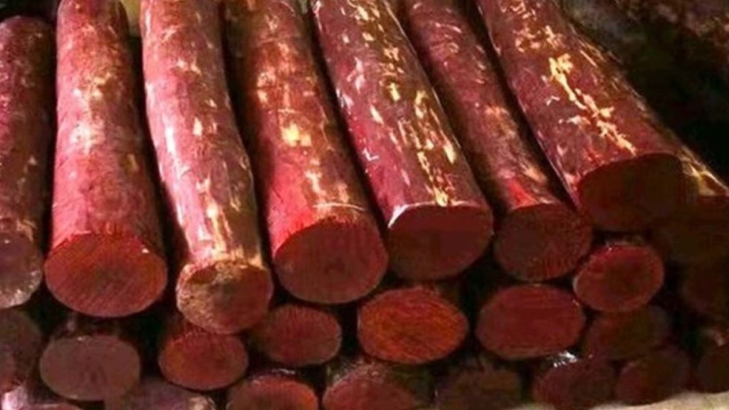 East Godavari Police Bust Sandalwood Smuggling Gang 53 Logs Seized