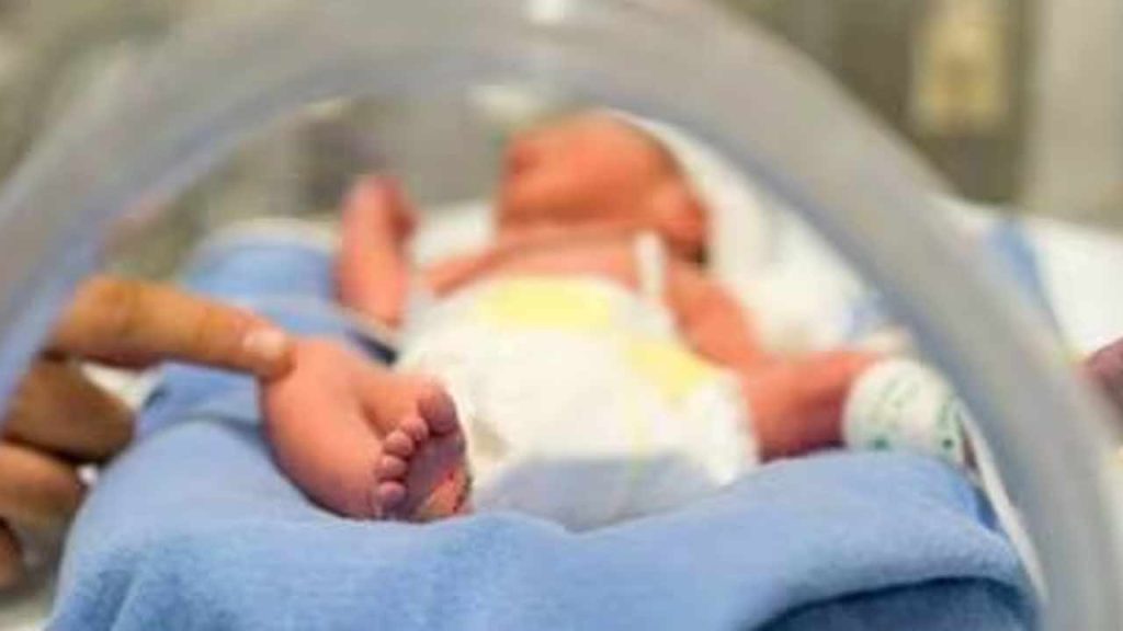 Tragedy In Paderu Newborn Dies After Delayed Ambulance Delivery In Auto
