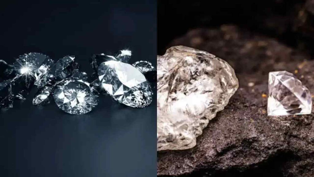 Woman Finds 8 Diamonds Madhya Pradesh Panna
