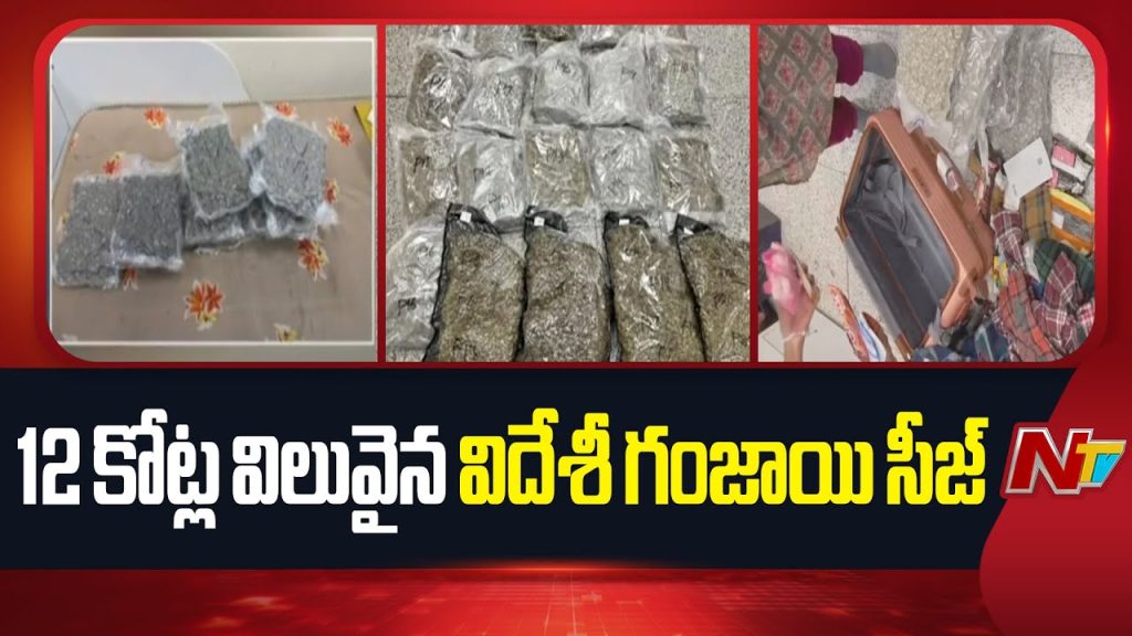 Hyderabad Customs Seize %e2%82%b912 Crore Worth Foreign Drugs At Shamshabad Airport