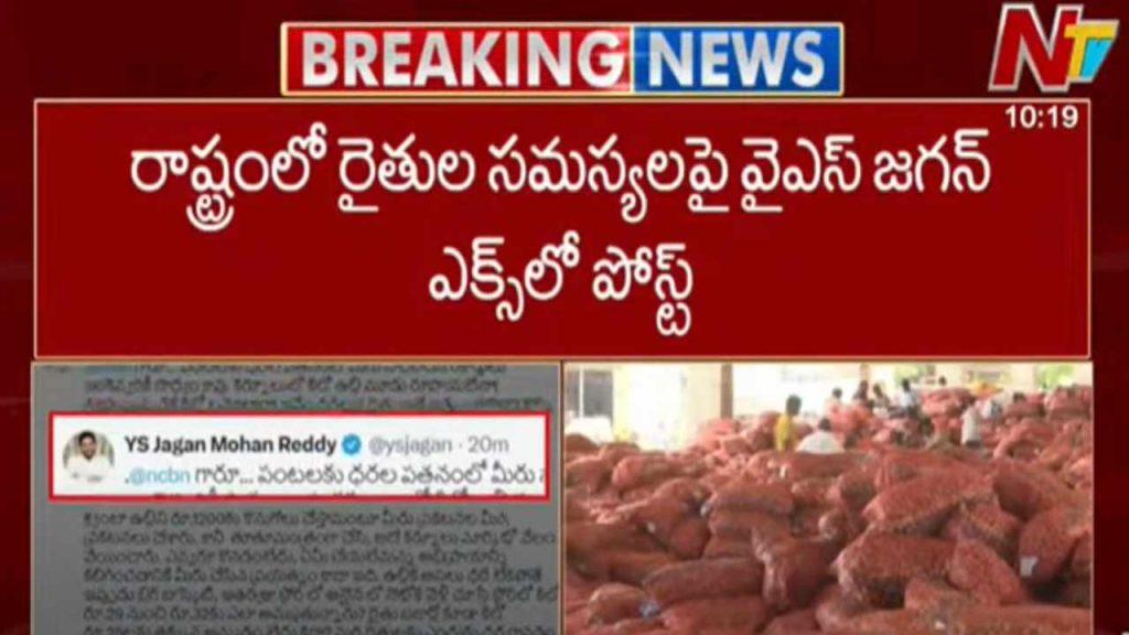 Jagan Slams Chandrababu Over Record Onion And Tomato Price Crash