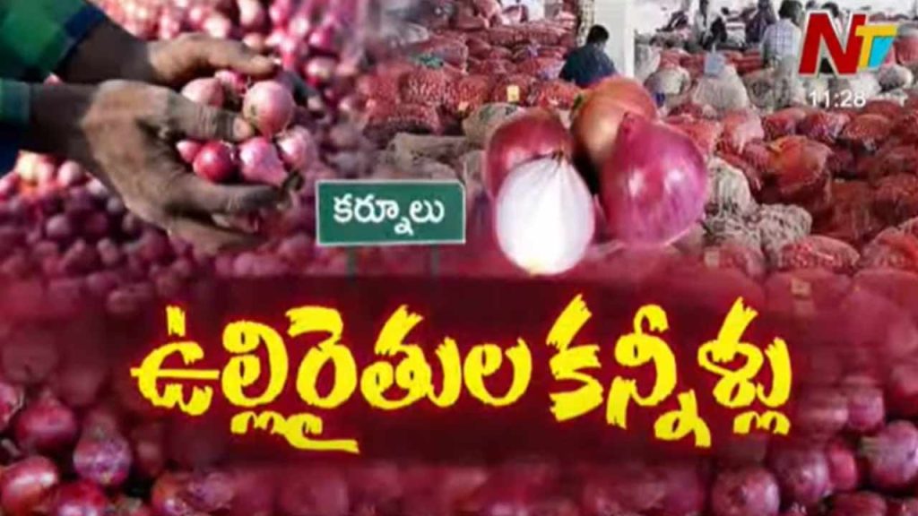 Farmers Woes In Kurnool Onion Crops Rot In Markets Amid Price Crash