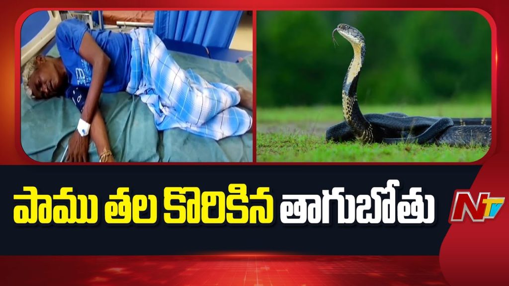 Drunk Man Bites Off Snakes Head In Tirupati Shocking Incident