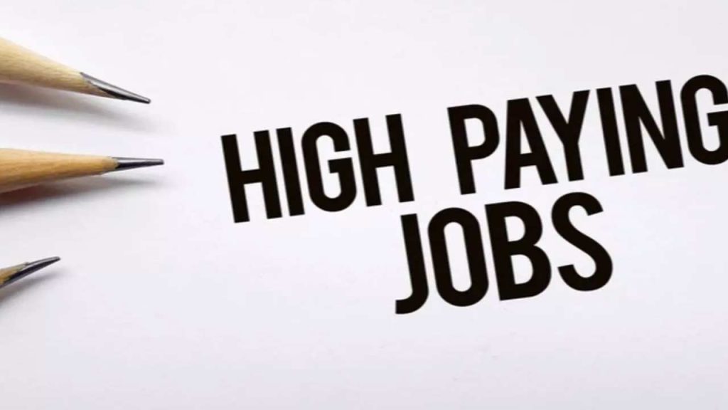 Top 5 High Paying Jobs For Freshers Without Experience India