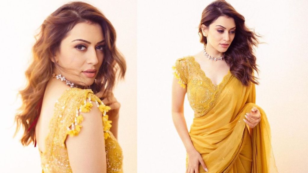 Hansika Motwani And Sohael Khaturiya Love Story