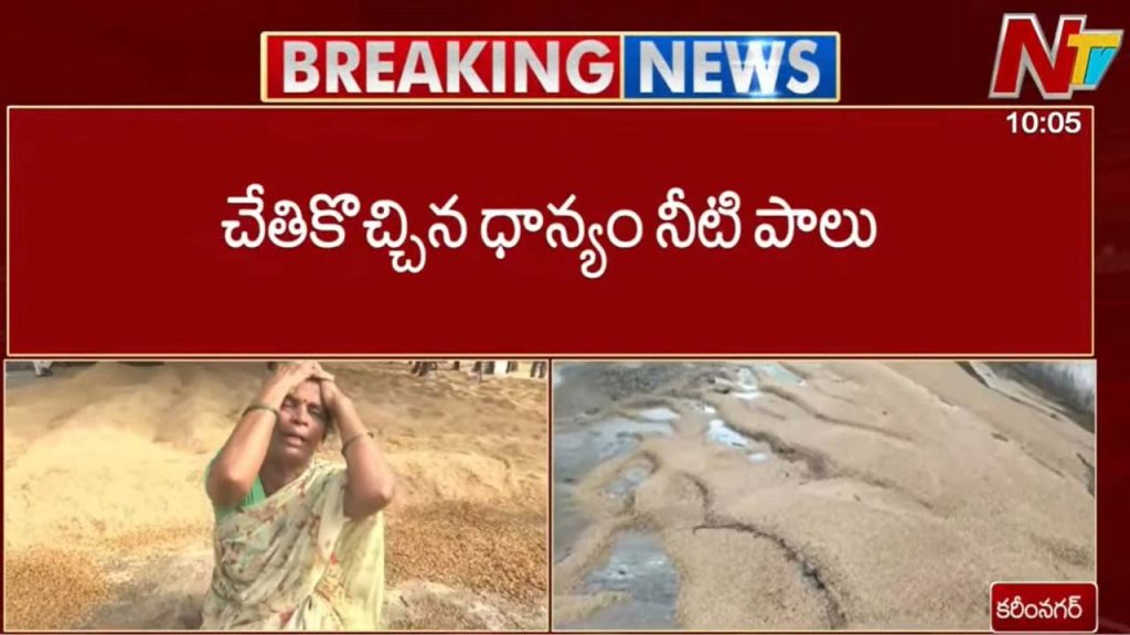 Heartbreaking Scene In Husnabad Woman Farmer Cries At Collectors Feet After Crop Loss