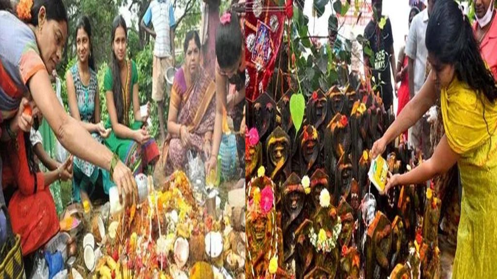 Nagula Chavithi Today The Real Secret Behind Offering Milk To Snake Burrows