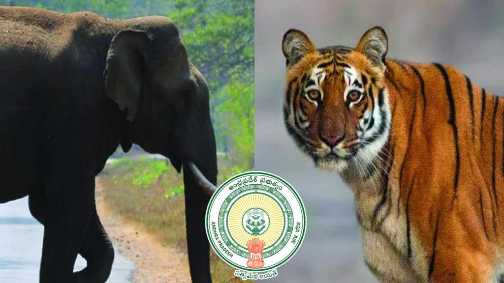 Andhra Pradesh Releases Additional Funds For Tiger And Elephant Conservation