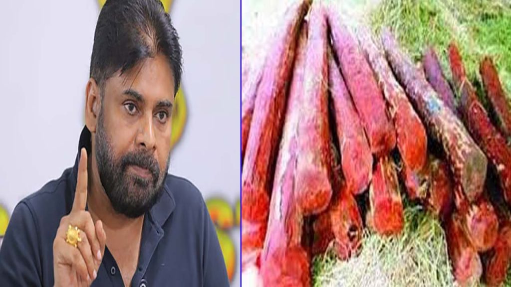 Deputy Cm Pawan Kalyan Mass Warns Red Sandalwood Smugglers