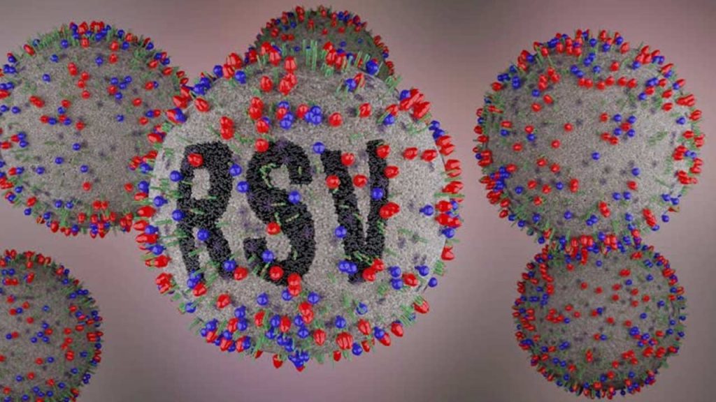 Rsv Virus Symptoms Risk In Winter Common Cold Complications