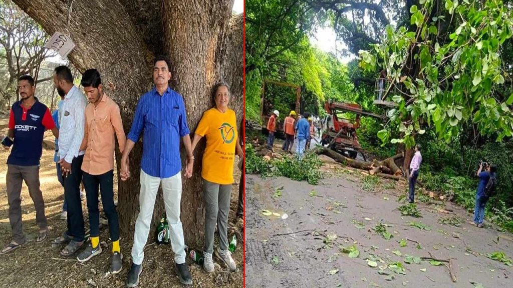 Actor Sayaji Shinde Slams Maharashtra Government Over Mass Tree Cutting