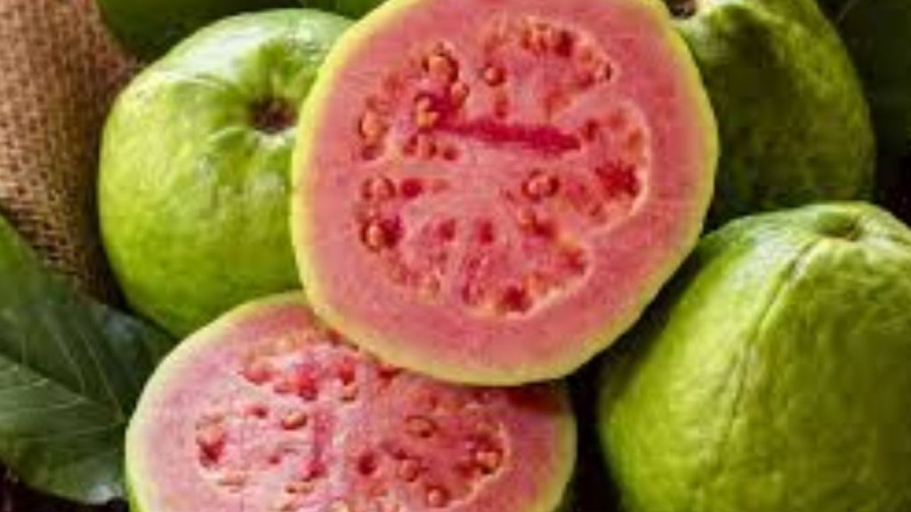 Health Benefits Of Eating Guava In Winter Rich In Vitamin C Fiber Antioxidants