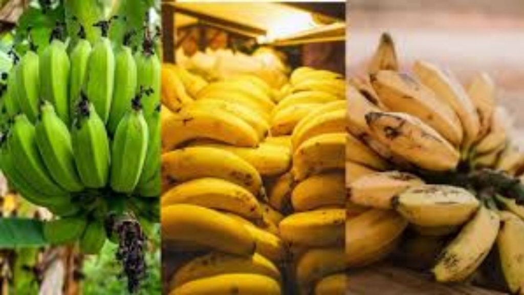 Nutritional Benefits Of Bananas Green Yellow And Brown Spotted Bananas Explained