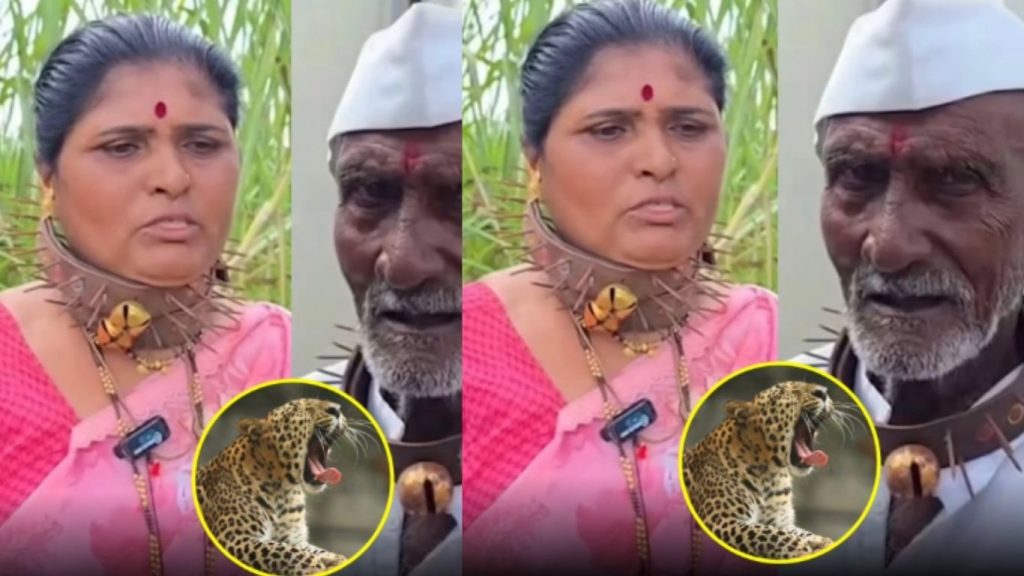 Tiger Attacks In Maharashtra Villages Locals Use Spiked Neck Guards For Protection