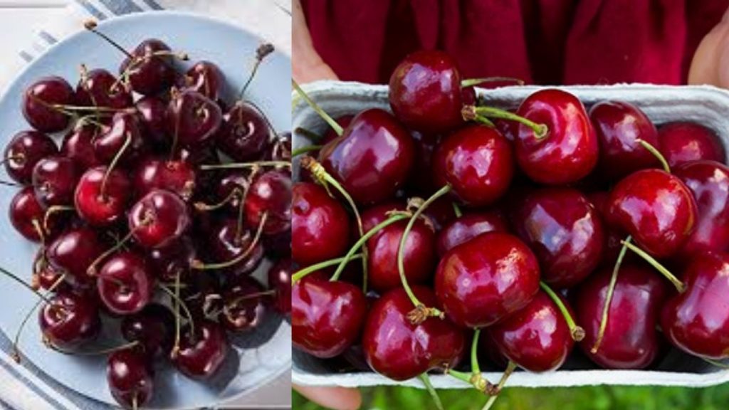 Health Benefits Of Cherries Nutrition Immunity Pain Relief Better Sleep