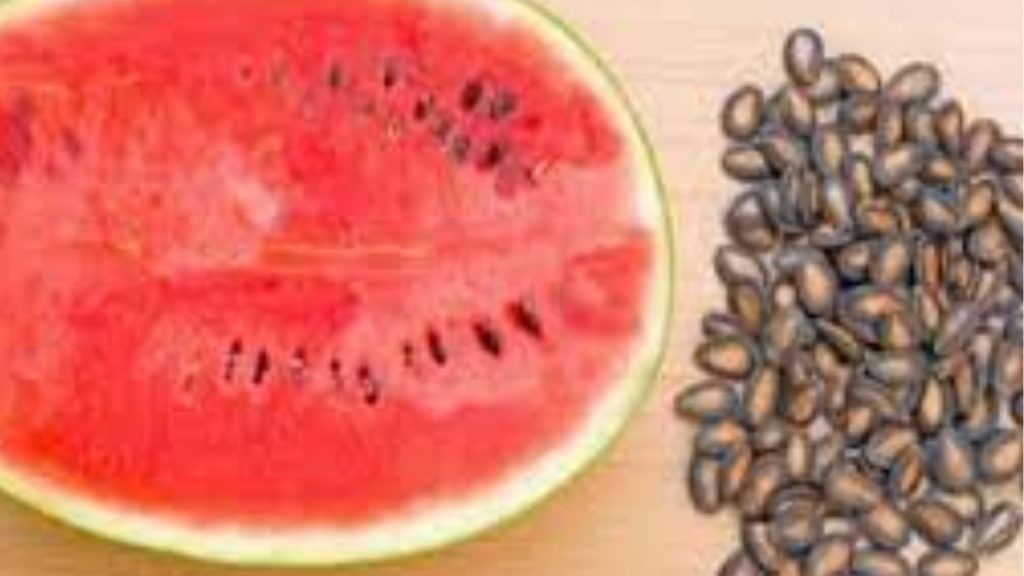 Health Benefits Of Watermelon Seeds Nutrition Digestion Immunity More